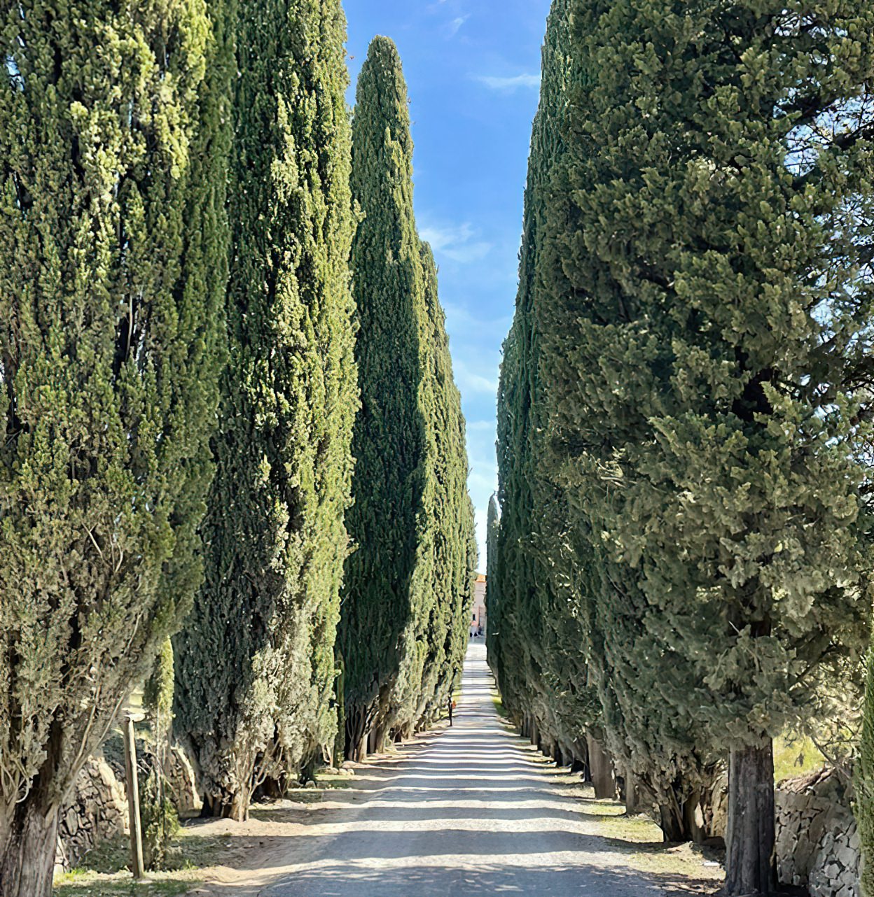 chianti-wine-estate-20