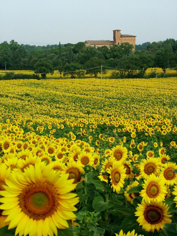 chianti-castle-wedding03