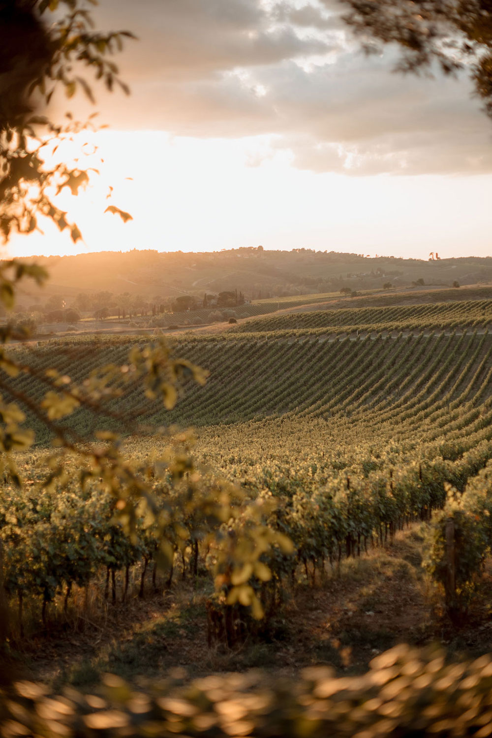 luxury-chianti-wedding-estate-23