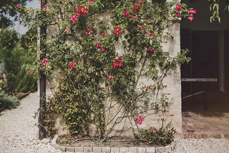 veneto-wedding-distinctive-italy-24