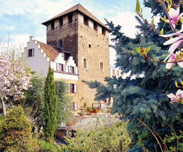 Fairytale Alpine Castle
